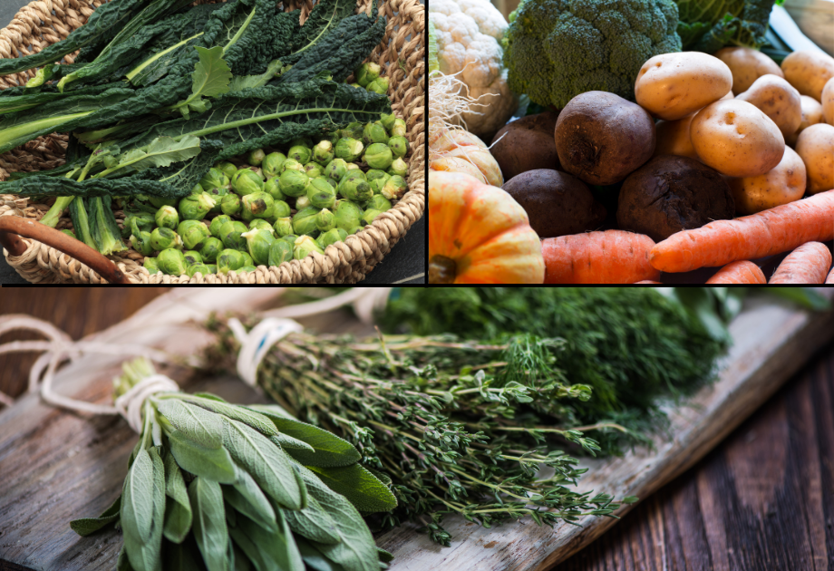 Winter herbs and veggies
